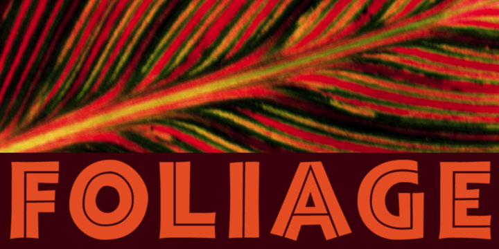Click image to enlarge and for more information. Font poster