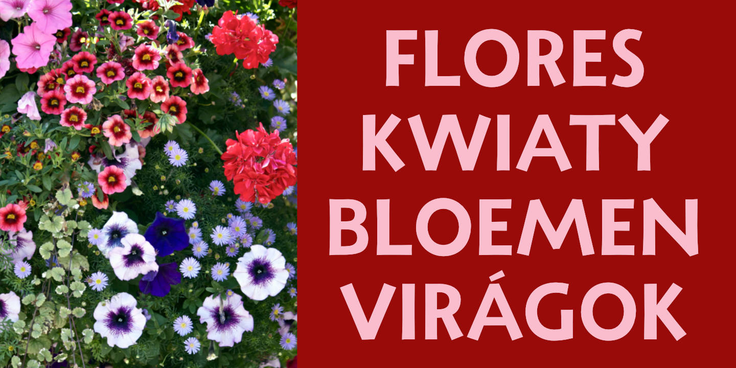 Click image to enlarge and for more information. Flower Basket