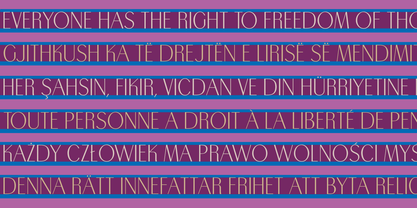 UDHR