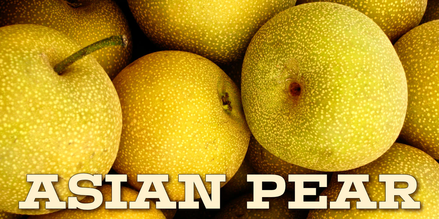 Click image to enlarge and for more information. Font poster