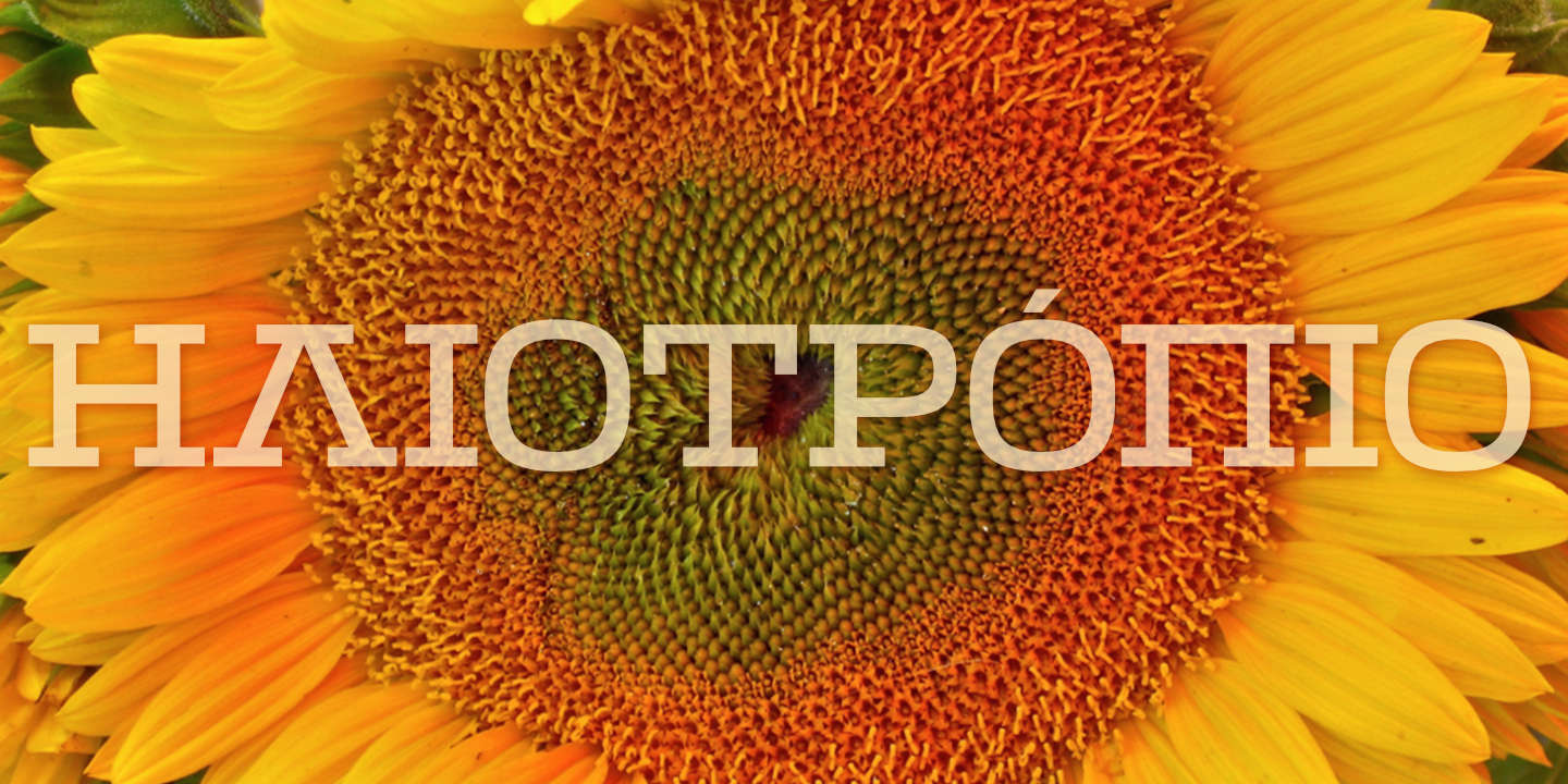 Click image to enlarge and for more information. Font poster