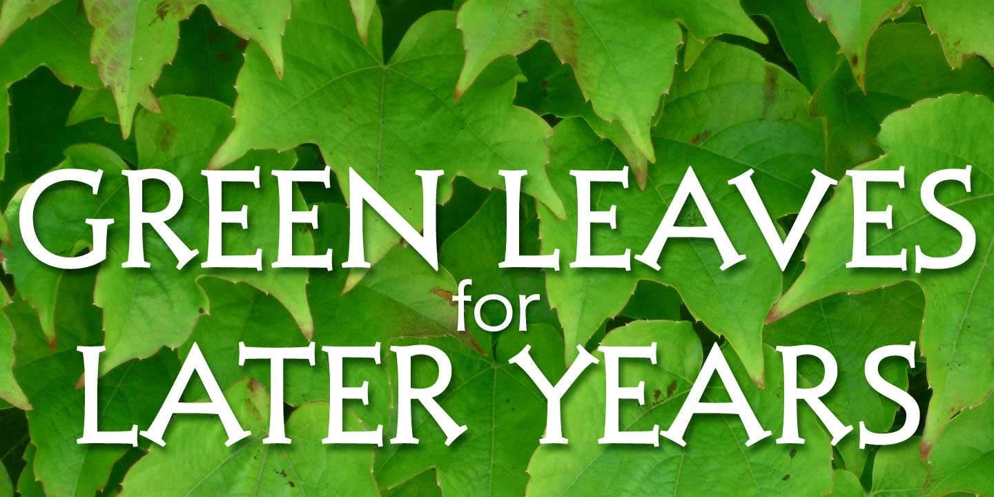 Click image to enlarge and for more information. Font poster