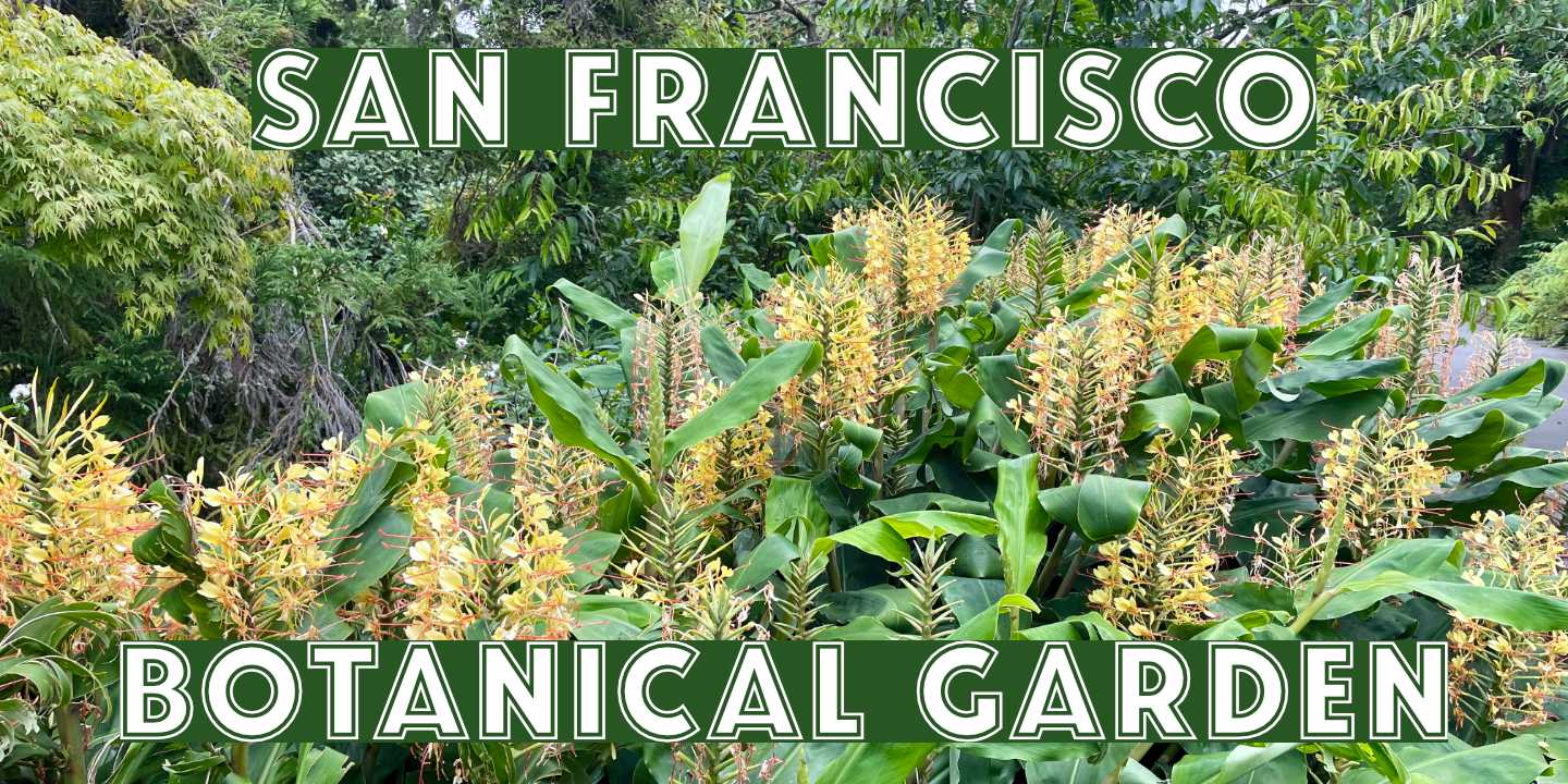 Click image to enlarge and for more information. Botanical Garden