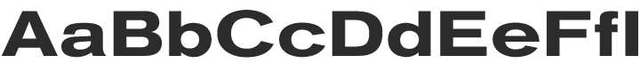 Standard CT Extended Bold